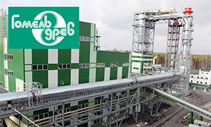 ОАО "Гомельдрев"